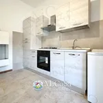 Rent 1 bedroom apartment of 58 m² in pisa