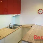 Rent 1 bedroom apartment of 28 m² in Brno