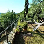 Rent 5 bedroom house of 250 m² in Monte Argentario