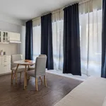 Rent 1 bedroom apartment in Bologna