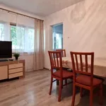 Rent 1 bedroom apartment of 27 m² in Rojna