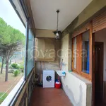 Rent 2 bedroom apartment of 60 m² in Siena