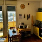 Rent 2 bedroom apartment of 45 m² in Bologna