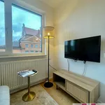 Rent 1 bedroom apartment of 24 m² in Nuremberg