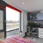 Rent 1 bedroom apartment in London