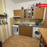 Rent 2 bedroom apartment of 45 m² in Zlín