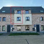 Rent 2 bedroom apartment in Hulshout Houtvenne