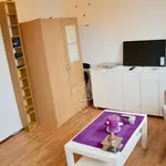 Huur 1 slaapkamer appartement van 40 m² in Den Haag