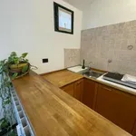 Rent 2 bedroom apartment of 50 m² in Milan