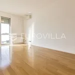 Rent 3 bedroom apartment of 200 m² in Zagreb