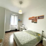 Rent 4 bedroom apartment in Florence