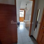 Rent 2 bedroom apartment of 46 m² in Turin