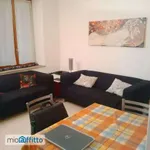 Rent 2 bedroom apartment of 50 m² in Milan