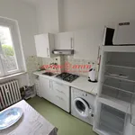 Rent 1 bedroom apartment of 40 m² in Pavia