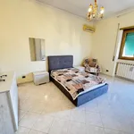 Rent 2 bedroom apartment of 70 m² in Rome