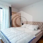 Rent 1 bedroom apartment of 20 m² in Grljevac