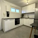 Rent 2 bedroom apartment of 49 m² in Berlin