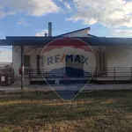 Appartamento in Affitto Sant'Agata de' Goti 32341021-132 | RE/MAX Italia