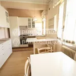 Rent 5 bedroom apartment of 120 m² in Lucca