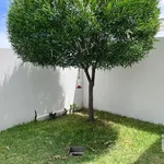 Rent 2 bedroom house of 94 m² in Querétaro