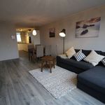 Rent 2 bedroom apartment of 75 m² in Rotterdam