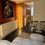 Rent 1 bedroom apartment in Gent