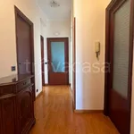 Rent 4 bedroom apartment of 140 m² in Grottaferrata