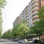 Rent 2 bedroom apartment of 50 m² in Torino