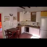 Rent 1 bedroom apartment of 48 m² in Bologna