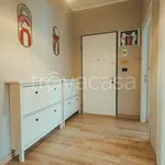 Rent 3 bedroom apartment of 110 m² in Torino