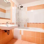 Rent 2 bedroom apartment of 58 m² in Otrokovice