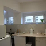 Rent 1 bedroom apartment of 43 m² in Brno