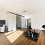 Rent 3 bedroom apartment of 110 m² in Dusseldorf