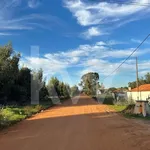 Casa de estilo típico Alentejano com piscina para arrendamento