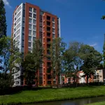 apartment for rent at Ruusbroeclaan 110, netherlands