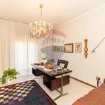 Rent 5 bedroom apartment of 224 m² in Catania