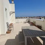 Rent 3 bedroom apartment of 75 m² in Livorno