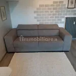 Rent 2 bedroom apartment of 50 m² in Turin