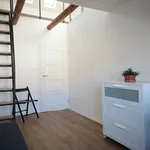 Rent a room of 270 m² in Prague