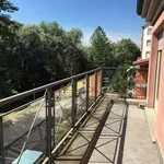 Rent 2 bedroom apartment of 50 m² in Crema