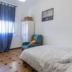 Rent 5 bedroom apartment in Valencia