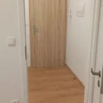 Rent 2 bedroom apartment of 50 m² in Velké Meziříčí