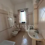 Affitto 6 camera casa di 220 m² in Fonte Nuova