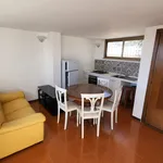 Rent 1 bedroom apartment of 45 m² in Mentana