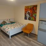 Rent 2 bedroom apartment of 63 m² in Karlsruhe