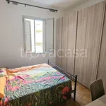 Rent 4 bedroom apartment of 100 m² in Bologna