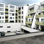 Rent 2 bedroom apartment of 58 m² in České Budějovice