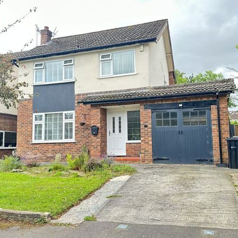 Detached house to rent in Cringle Drive, Cheadle SK8 Cheadle Park