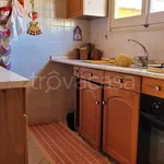 Rent 2 bedroom apartment of 40 m² in Paceco