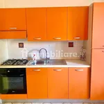 Rent 2 bedroom apartment of 50 m² in Arezzo